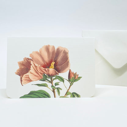 Floral Note Cards, Pack of 8 - Gallery360 Designs